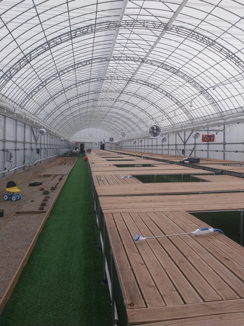 마도 다육이농장