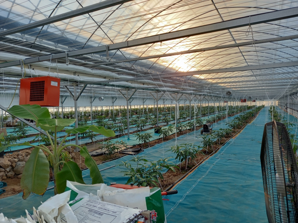 으뜸온풍기.전기난방기.FM-H-2020